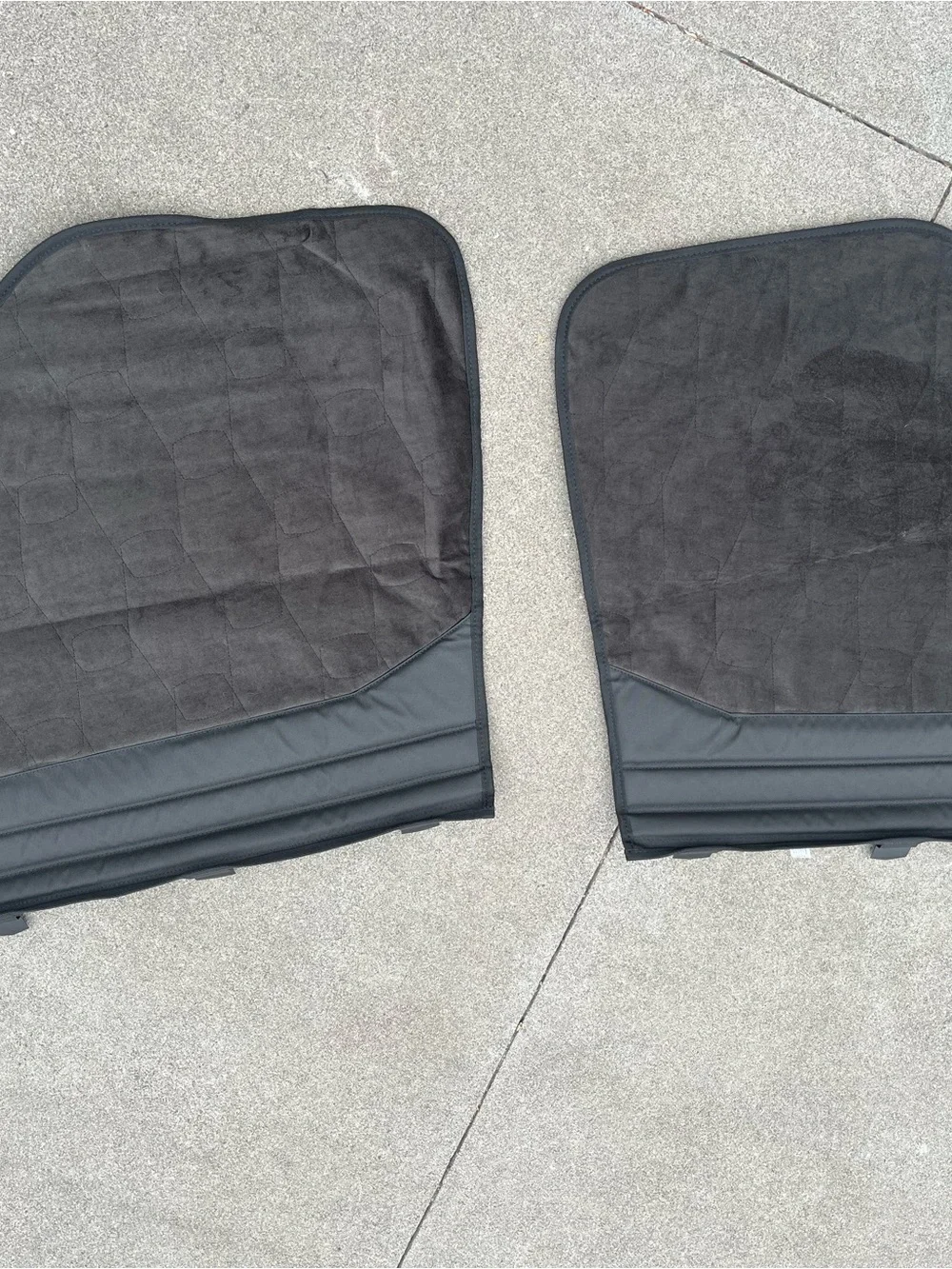 Tesla back seat